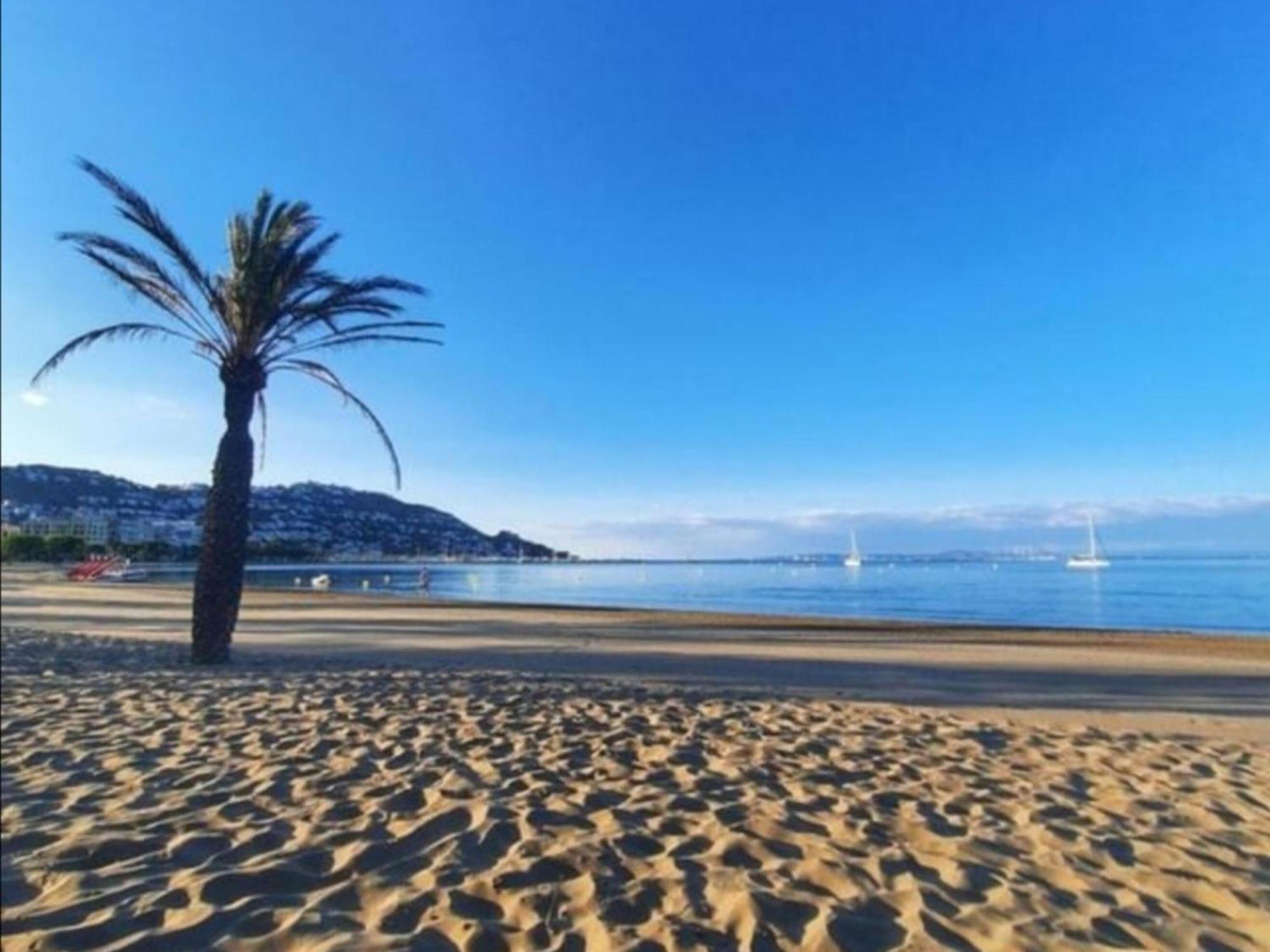 Apartamento 2189 Rocmar 3 3-c, Excelente Situacion Frente Al Puerto Pesquero Y Con Vista A La Bahia. Gran Terraza. Gran Parking Publico Delante. - Es-258-59